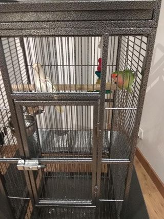 Jaula Loro Gris/Plata
