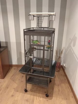 Jaula Loro Gris/Plata