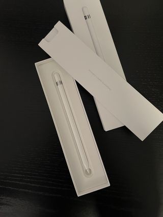 Apple Pencil 1ª Gen