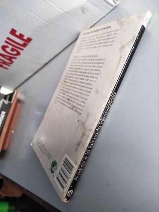 Aladino e la lampada meravigliosa (Tascabili ec...