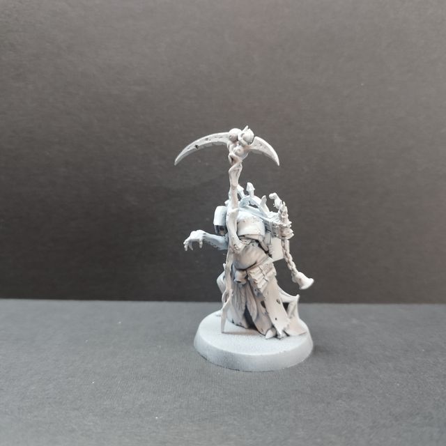 Hechicero Putrefactor Nurgle Montado Imprimado