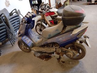 Malaguiti Phantom max 250