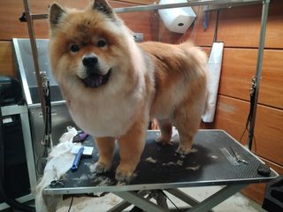 Peluqueria a Domicilio