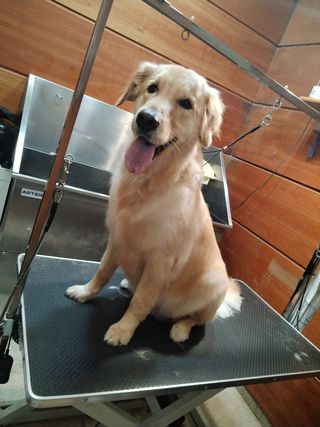 Peluqueria a Domicilio