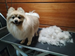 Peluqueria a Domicilio