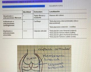 Resumenes estudios
