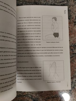 Reiki (Millenium) (Spanish Edition)