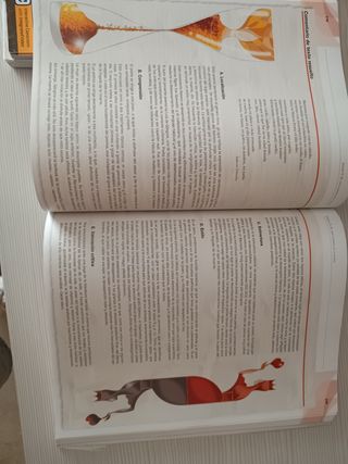 Lengua castellana y literatura 1 Bachillerato. ...