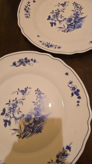 2 Platos Kalinca Arcopal Azul y Blanco