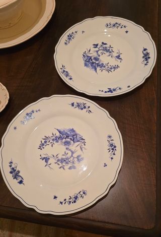 2 Platos Kalinca Arcopal Azul y Blanco