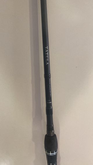 Daiwa Tatula 7'1 MH worm