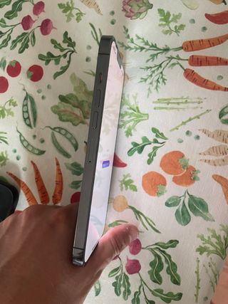 iPhone 13 Pro Max 256GB Space Gray