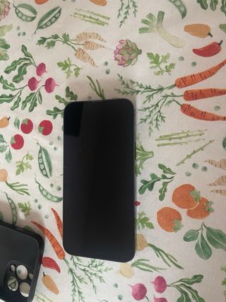 iPhone 13 Pro Max 256GB Space Gray