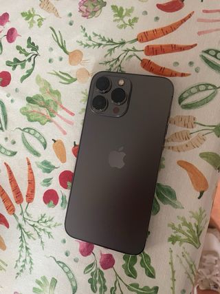 iPhone 13 Pro Max 256GB Space Gray