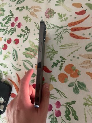 iPhone 13 Pro Max 256GB Space Gray