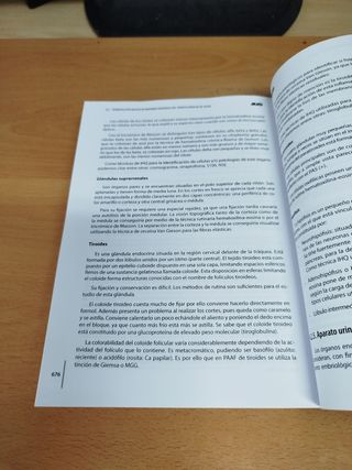 Técnico/a Especialista en Anatomía Patológica 2016
