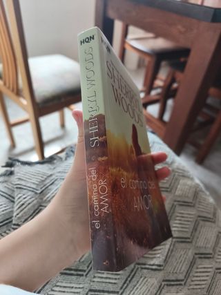 El camino del amor (Spanish Edition)