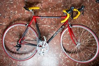 Bicicleta Leader Carbon Frame