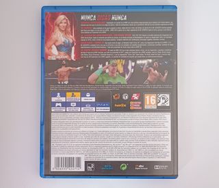 WWE 2K19 PS4