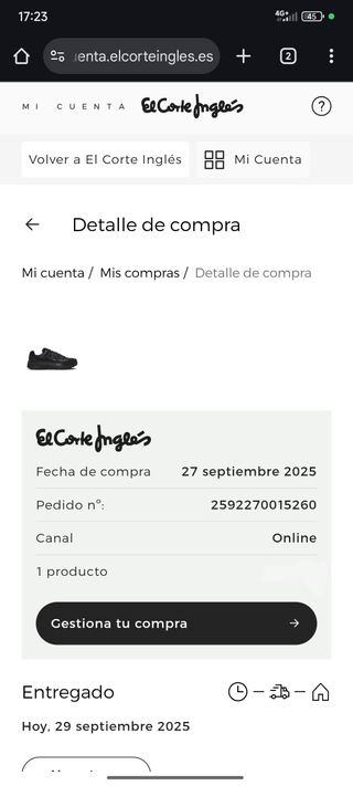 Nike P6000 Negro