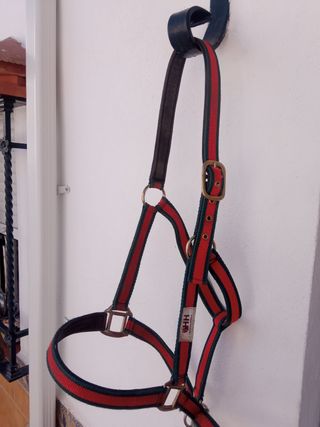 Montura y cabezada vaquera