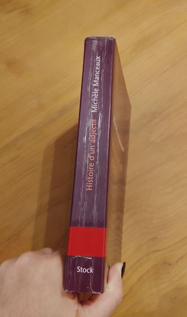 Michèle Manceaux, Histoire D'un Adjectif