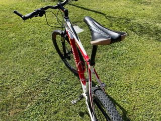 Bicicleta Montaña Specialized XL Ruedas 29