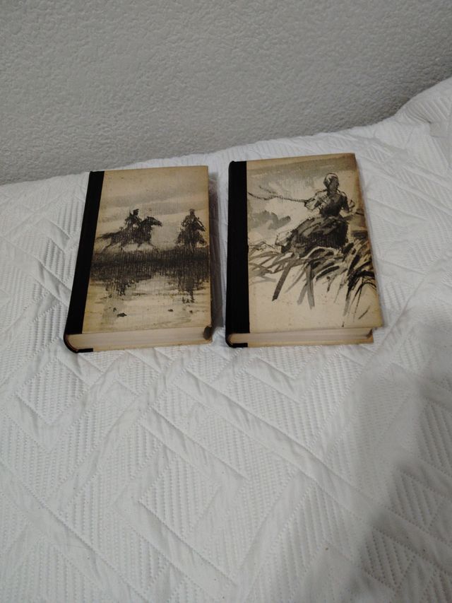 Libro El Don Apacible I y II. Cholojov