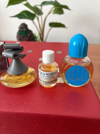 Lote Perfumes Miniatura Vintage Colección
