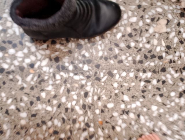 Botines negros forrados