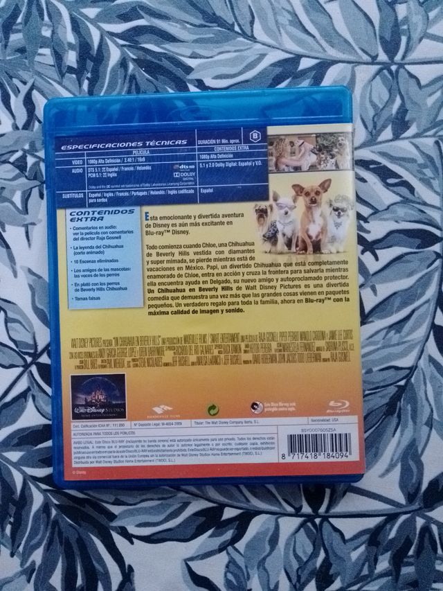 Un Chihuahua en Beverly Hills