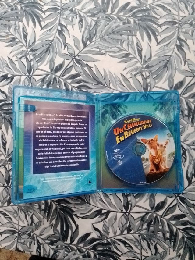 Un Chihuahua en Beverly Hills