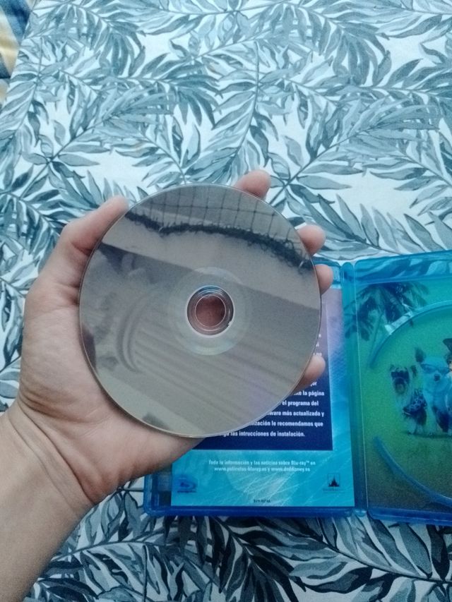 Un Chihuahua en Beverly Hills