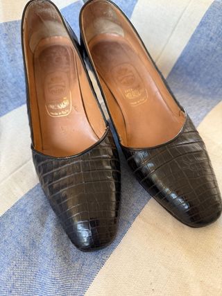 MOLASCHI Scarpe Donna Coccodrillo Marrone