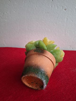 Candele a forma di rose in vaso