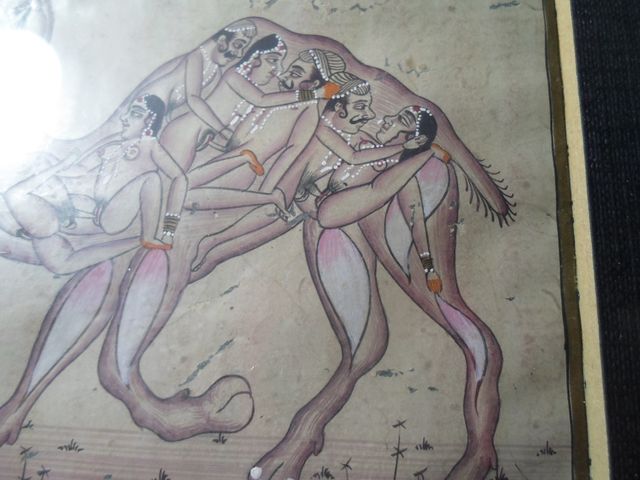 CURIOSO-Dibujo antiguo original -dromedario-ENMAR