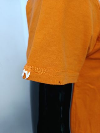 Camiseta Superdry Naranja con Alas