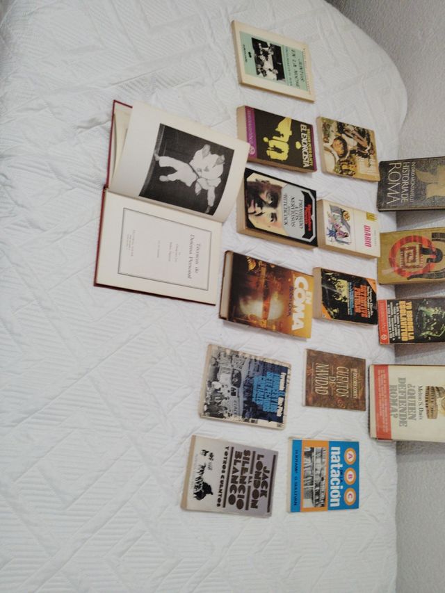 Lote de 16libros variados