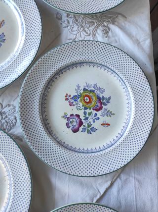 Servizio antico 22 piatti 1860