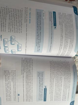 Desarrollo socioafectivo