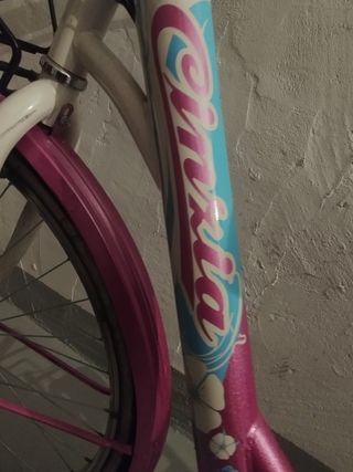 Bicicleta de paseo rosa