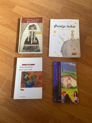 Libros en euskera