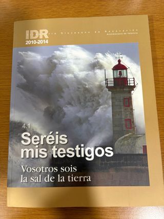 Libro Seréis mis testigos IDR 2010-2014