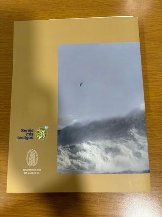 Libro Seréis mis testigos IDR 2010-2014