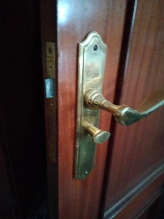 Puertas de madera con manilla dorada