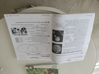 Oxford Discover 4. Activity Book with Online Pr...