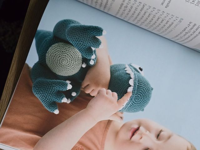 LIBRO CROCHET: Amigurumi de la prehistoria: 14 pro