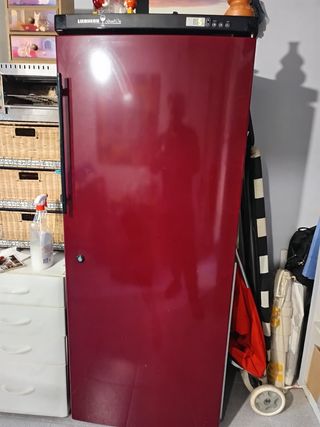 Bodega Nevera Liebherr Grand Cru