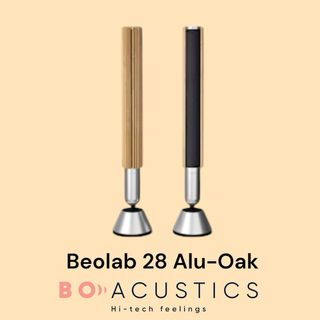 Bang & Olufsen BEOLAB 28 MK2 Alu/Oak