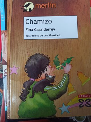 Chamizo (Infantil E Xuvenil) (Galician Edition)
